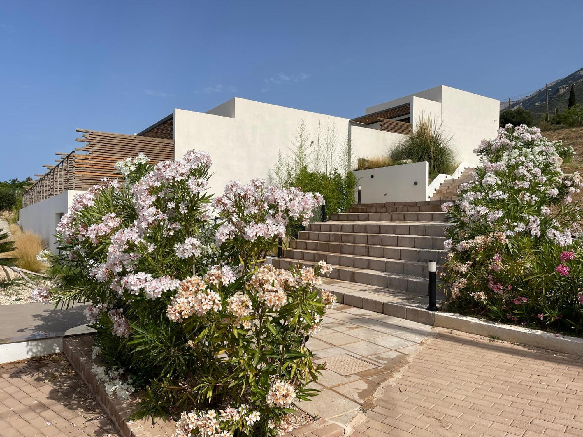 Kefalonian Escape Suites Valerianos Экстерьер фото
